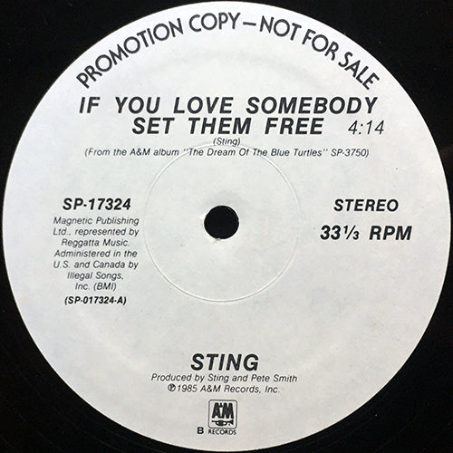 STING // IF YOU LOVE SOMEBODY SET THEM FREE (3VER) / ANOTHER DAY