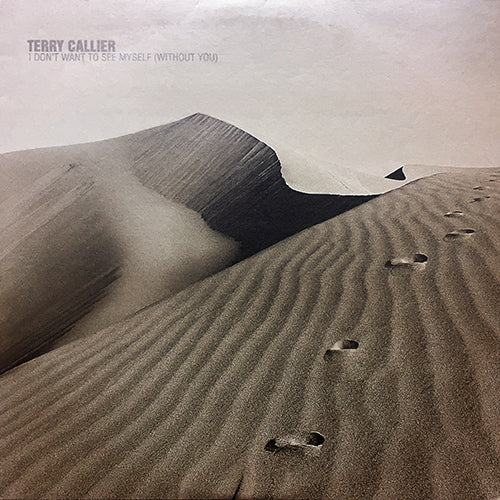 TERRY CALLIER // I DON'T WANT TO SEE MYSELF (REMIX) (4VER)