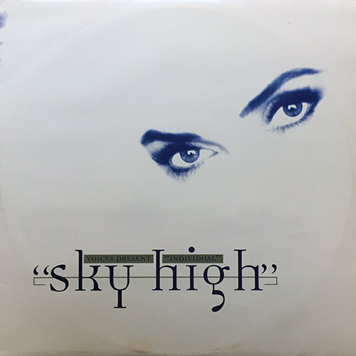 5ver VOICES presents INDIVIDUAL // SKY HIGH (5VER) – next records japan