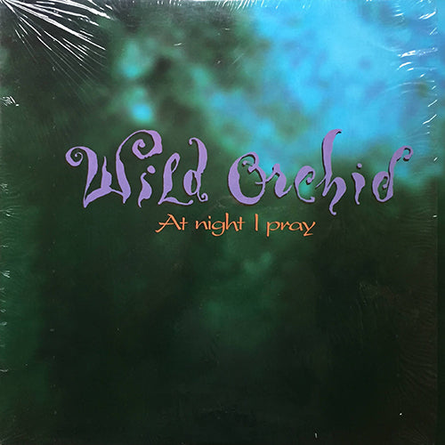 WILD ORCHID // AT NIGHT I PRAY (6VER)