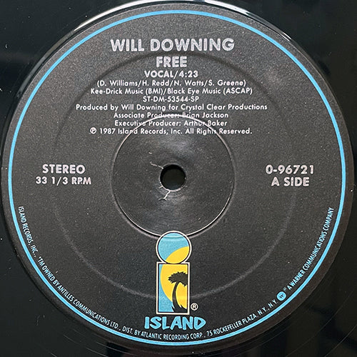 WILL DOWNING // FREE (4:23/7:00) / INST (4:25)